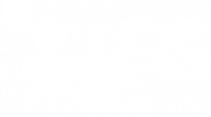 Logo IFS Blanco